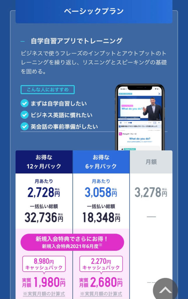 スタディサプリ,ビジネス英語コース,料金,